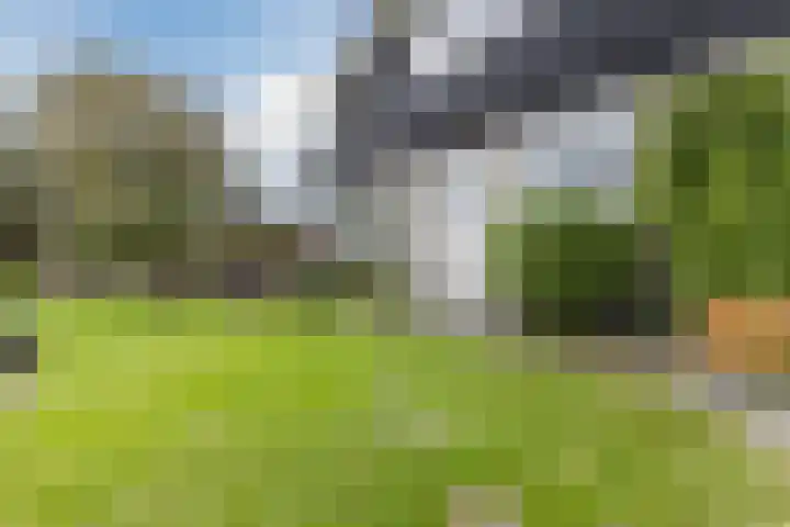 Waal 88 Zaandam thumbnail 51