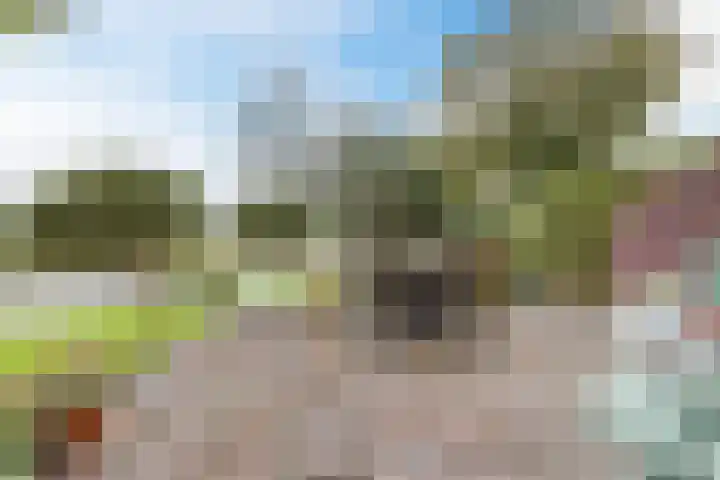 Waal 88 Zaandam thumbnail 52