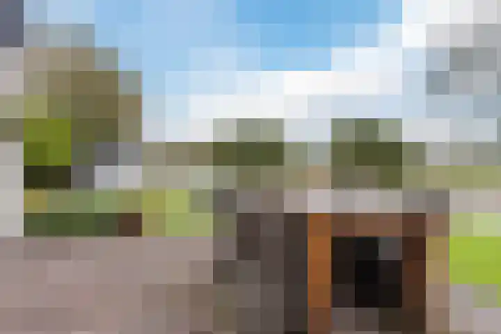 Waal 88 Zaandam thumbnail 53