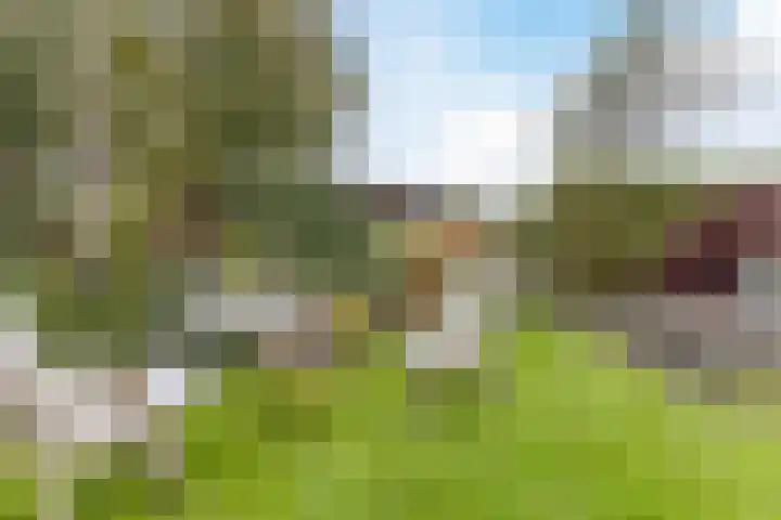Waal 88 Zaandam thumbnail 54