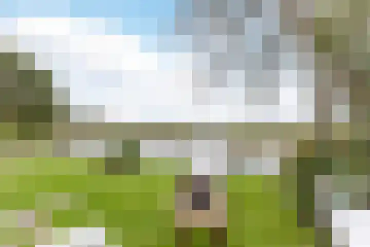 Waal 88 Zaandam thumbnail 55