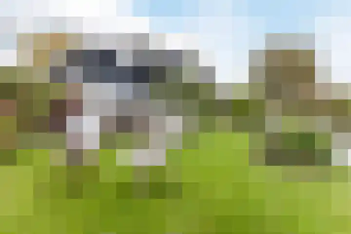 Waal 88 Zaandam thumbnail 56