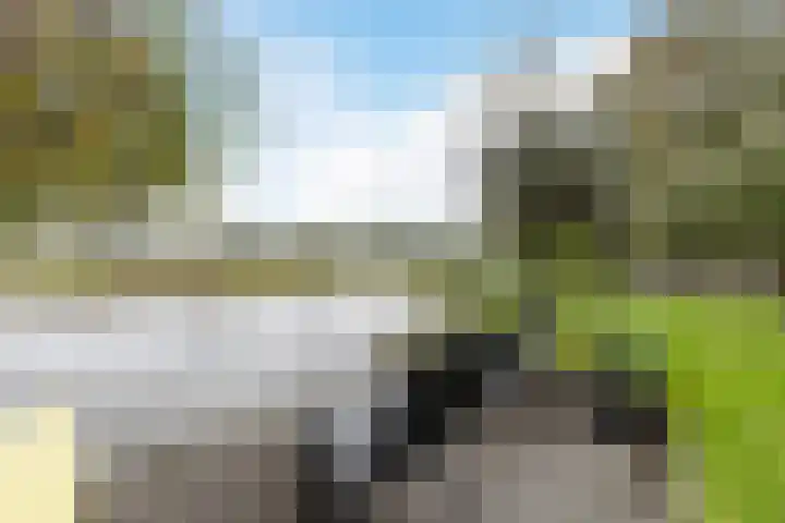 Waal 88 Zaandam thumbnail 59