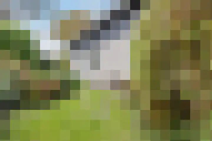 Waal 88 Zaandam thumbnail 60