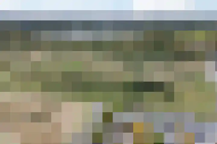 Waal 88 Zaandam thumbnail 64