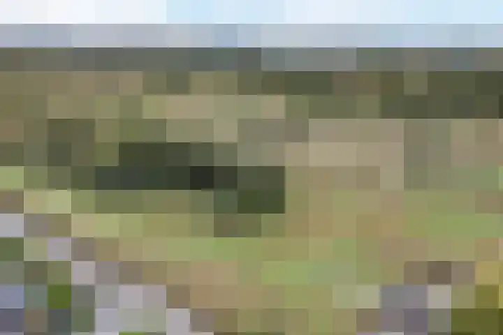Waal 88 Zaandam thumbnail 65