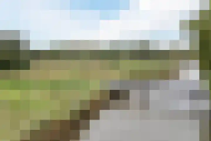 Waal 88 Zaandam thumbnail 66