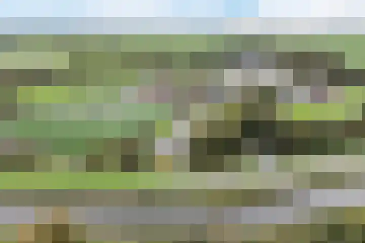 Waal 88 Zaandam thumbnail 67