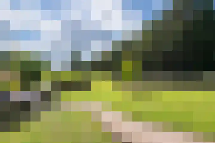 Waalbandijk 109 c Beneden-Leeuwen thumbnail 36