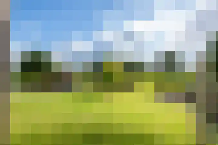 Waalbandijk 109 c Beneden-Leeuwen thumbnail 4