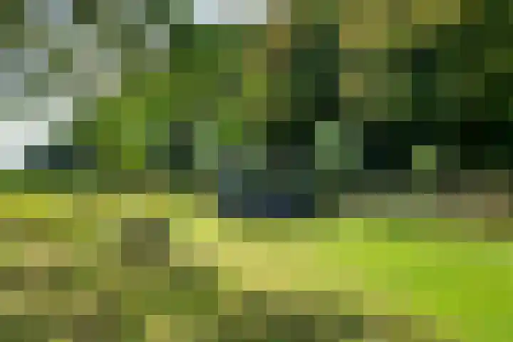 Waalbandijk 109 c Beneden-Leeuwen thumbnail 42