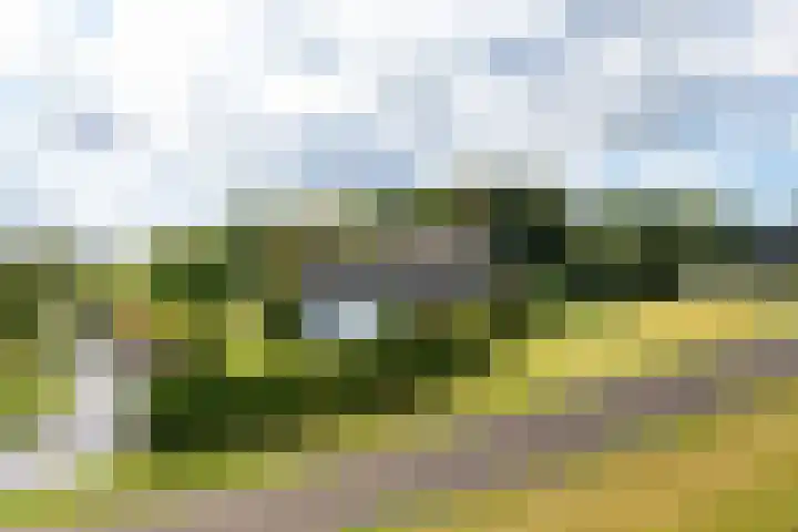 Waalbandijk 109 c Beneden-Leeuwen thumbnail 48