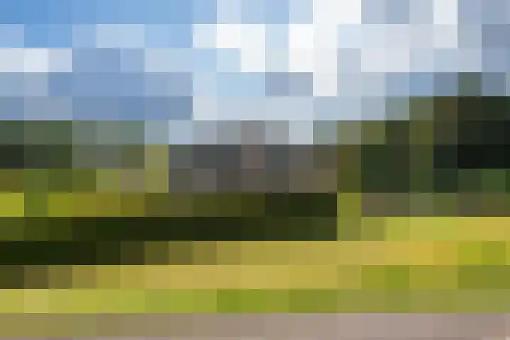 Waalbandijk 109 c Beneden-Leeuwen thumbnail 5