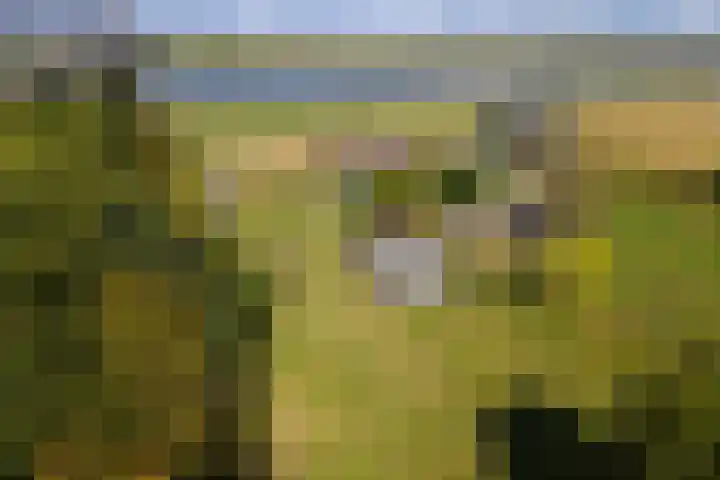 Waalbandijk 109 c Beneden-Leeuwen thumbnail 53