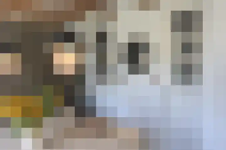 Waalbandijk 114 Heesselt thumbnail 10
