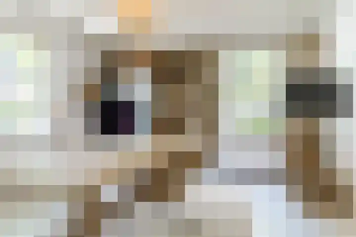 Waalbandijk 114 Heesselt thumbnail 17
