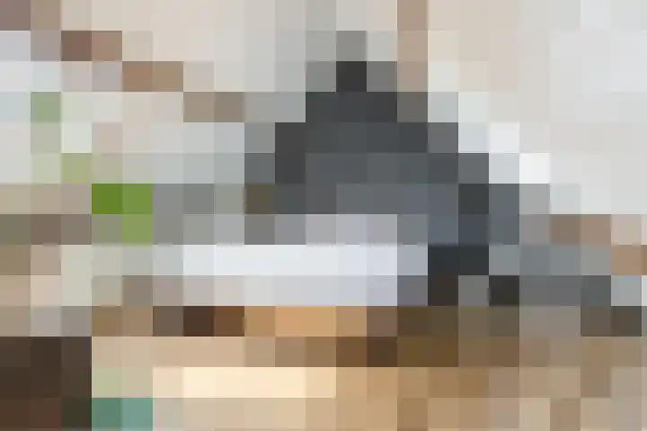 Waalbandijk 114 Heesselt thumbnail 23