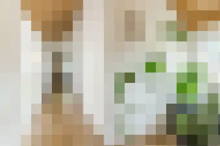 Waalbandijk 114 Heesselt thumbnail 33
