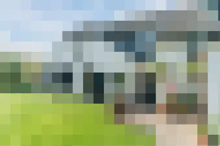 Waalbandijk 114 Heesselt thumbnail 38