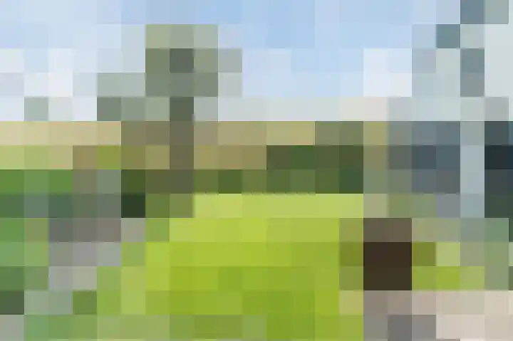 Waalbandijk 114 Heesselt thumbnail 41