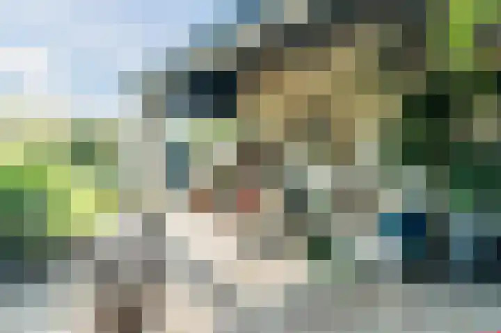 Waalbandijk 114 Heesselt thumbnail 42