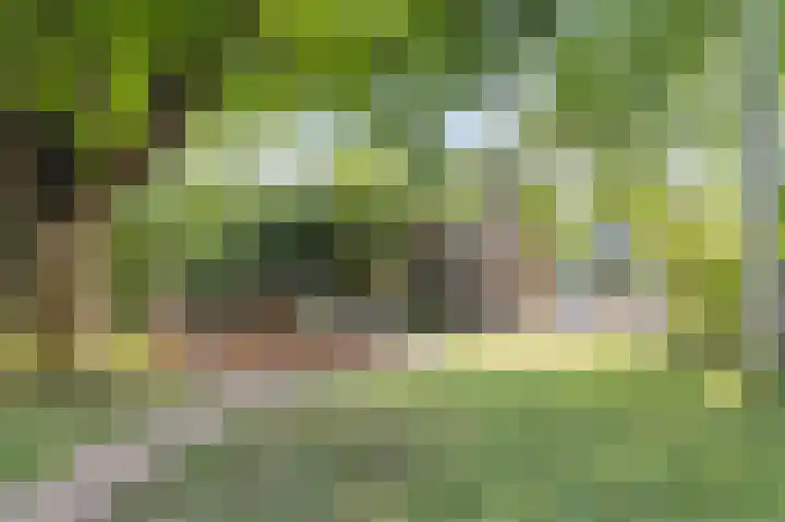 Waalbandijk 114 Heesselt thumbnail 43