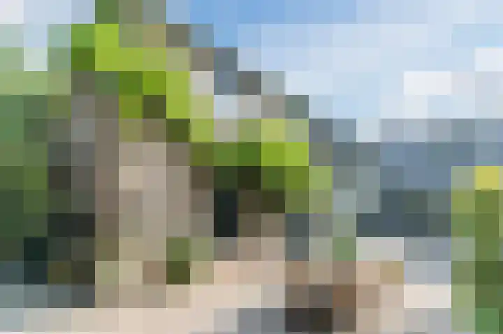 Waalbandijk 114 Heesselt thumbnail 44