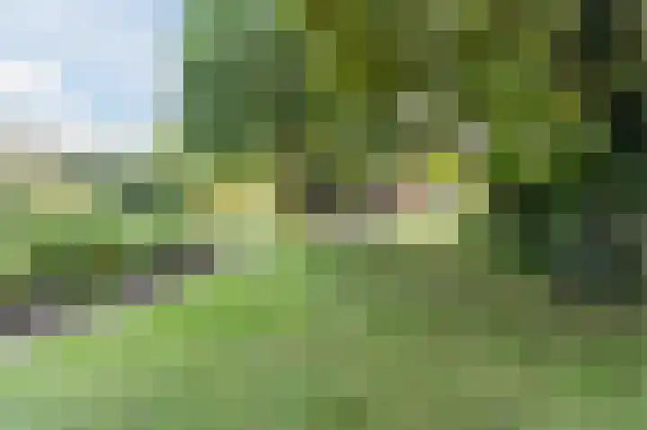 Waalbandijk 114 Heesselt thumbnail 53