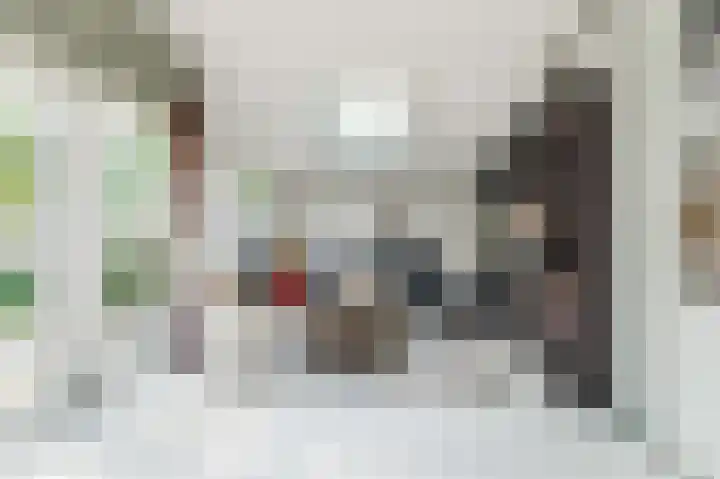 Waalbandijk 114 Heesselt thumbnail 62