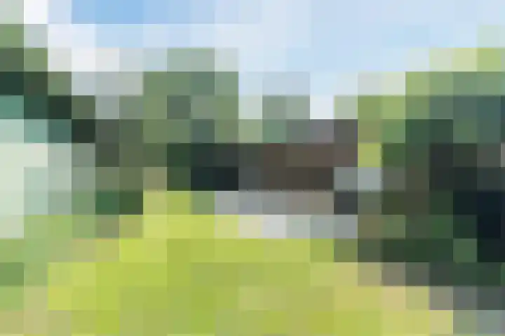 Waalbandijk 114 Heesselt thumbnail 65