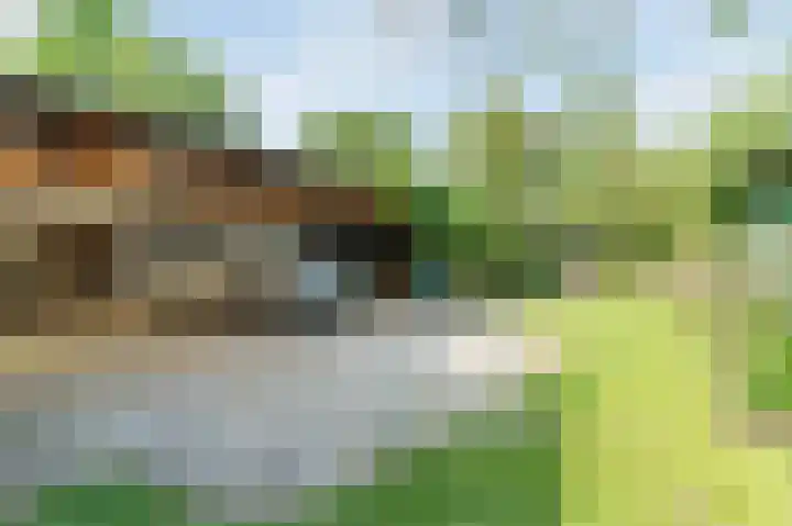 Waalbandijk 114 Heesselt thumbnail 66