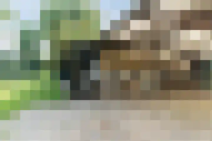 Waalbandijk 114 Heesselt thumbnail 68