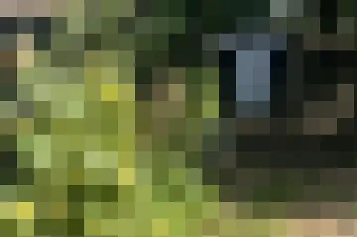 Waalbandijk 114 Heesselt thumbnail 71