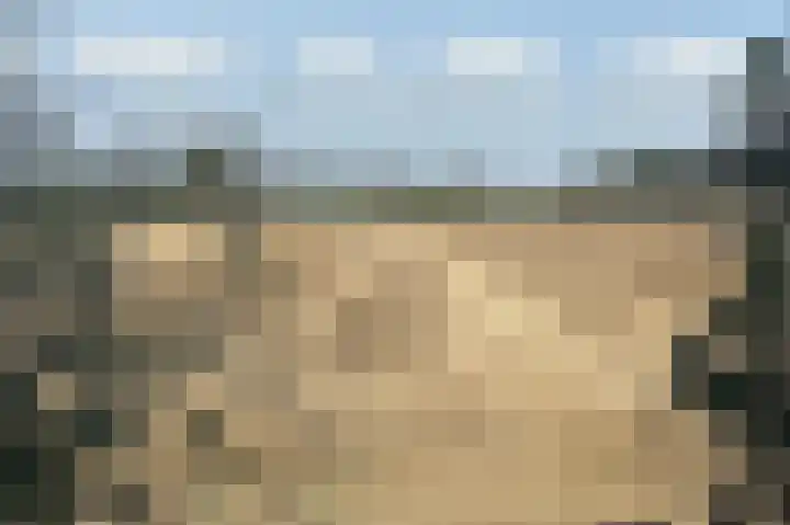 Waalbandijk 114 Heesselt thumbnail 72