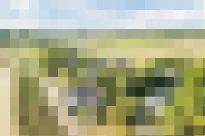 Waalbandijk 114 Heesselt thumbnail 73