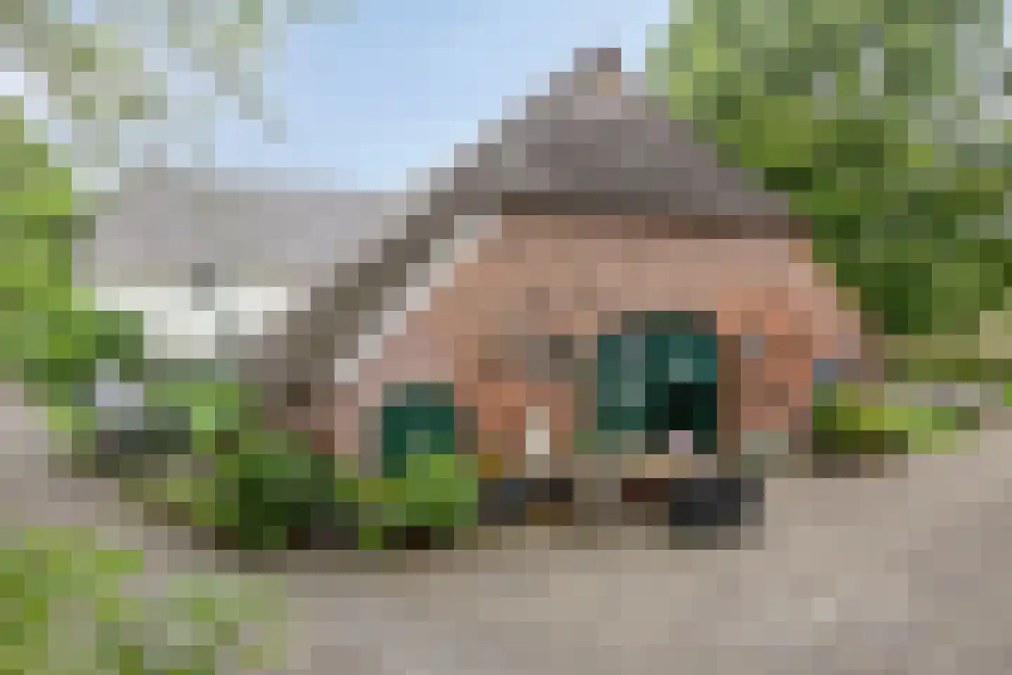 Waalbandijk 116 Dodewaard thumbnail 10