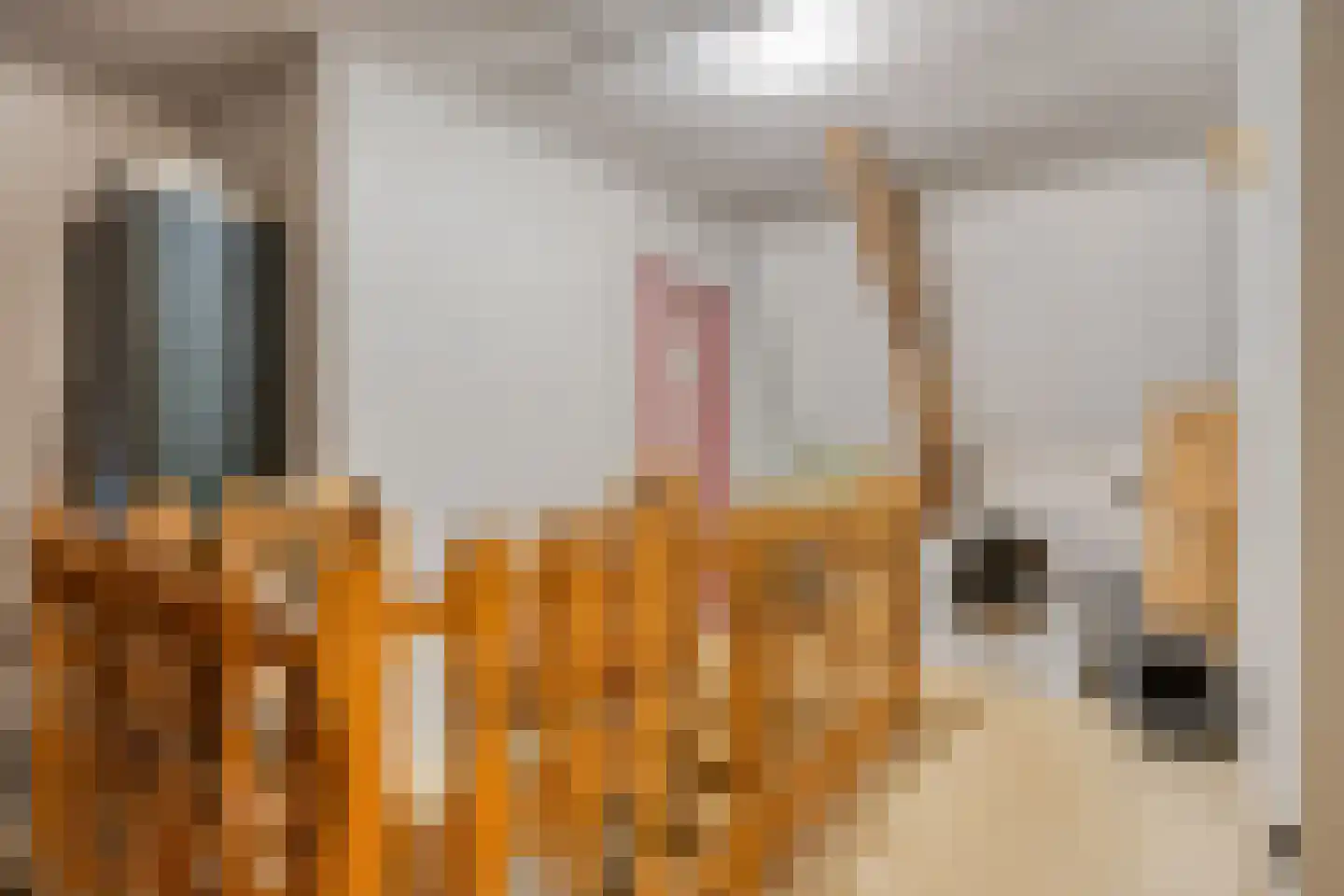 Waalbandijk 116 Dodewaard thumbnail 35