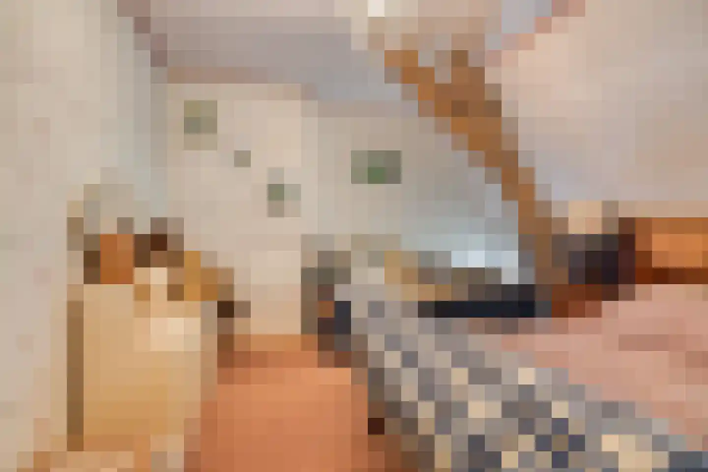 Waalbandijk 116 Dodewaard thumbnail 37