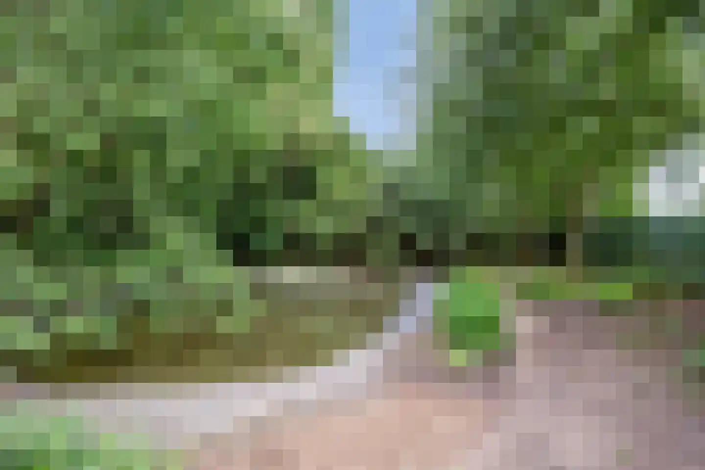 Waalbandijk 116 Dodewaard thumbnail 4