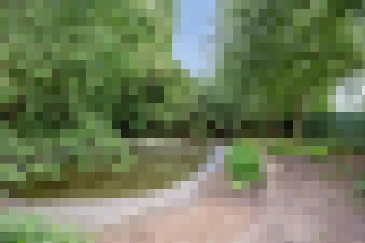 Waalbandijk 116 Dodewaard thumbnail 4