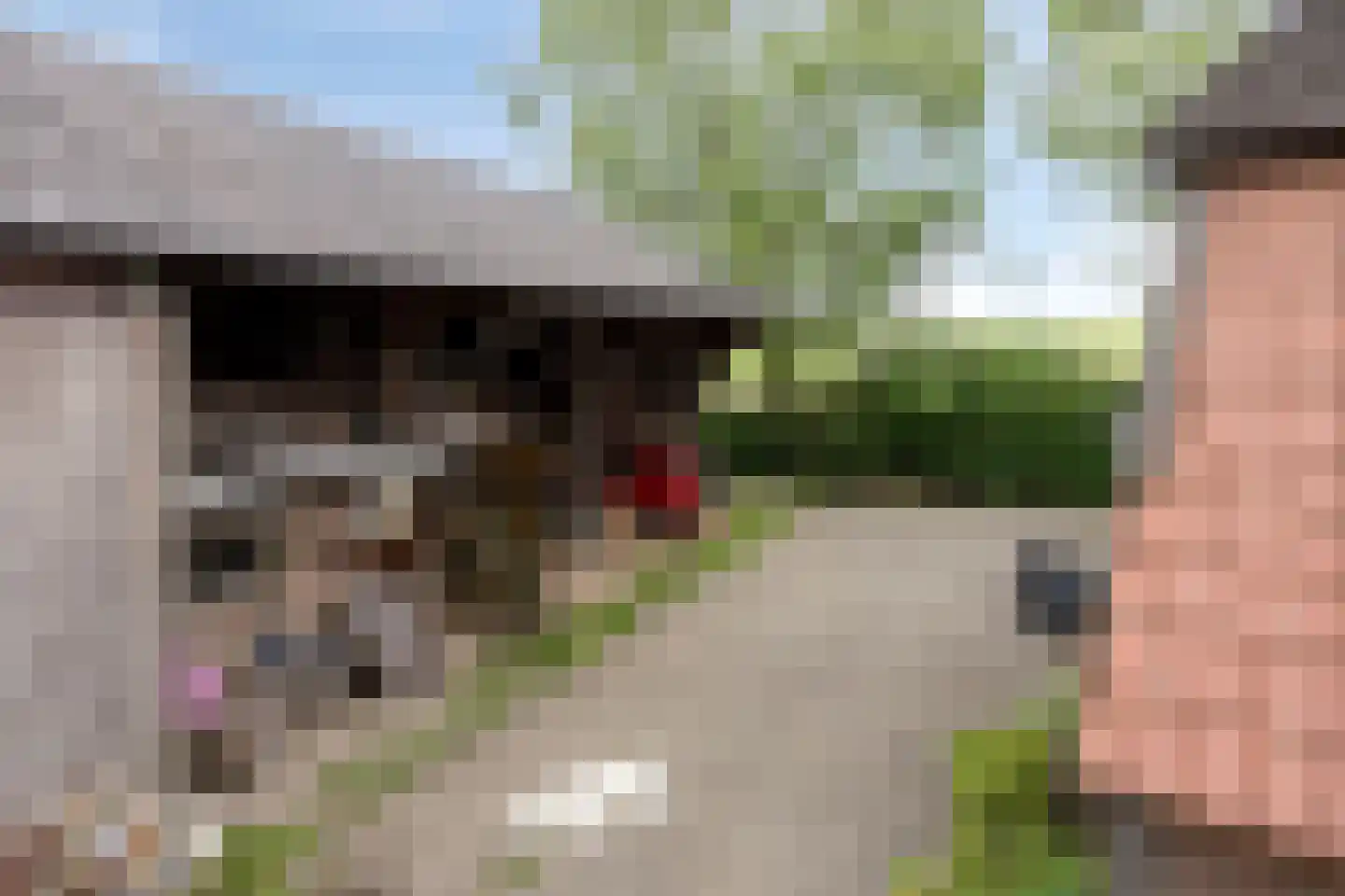 Waalbandijk 116 Dodewaard thumbnail 45
