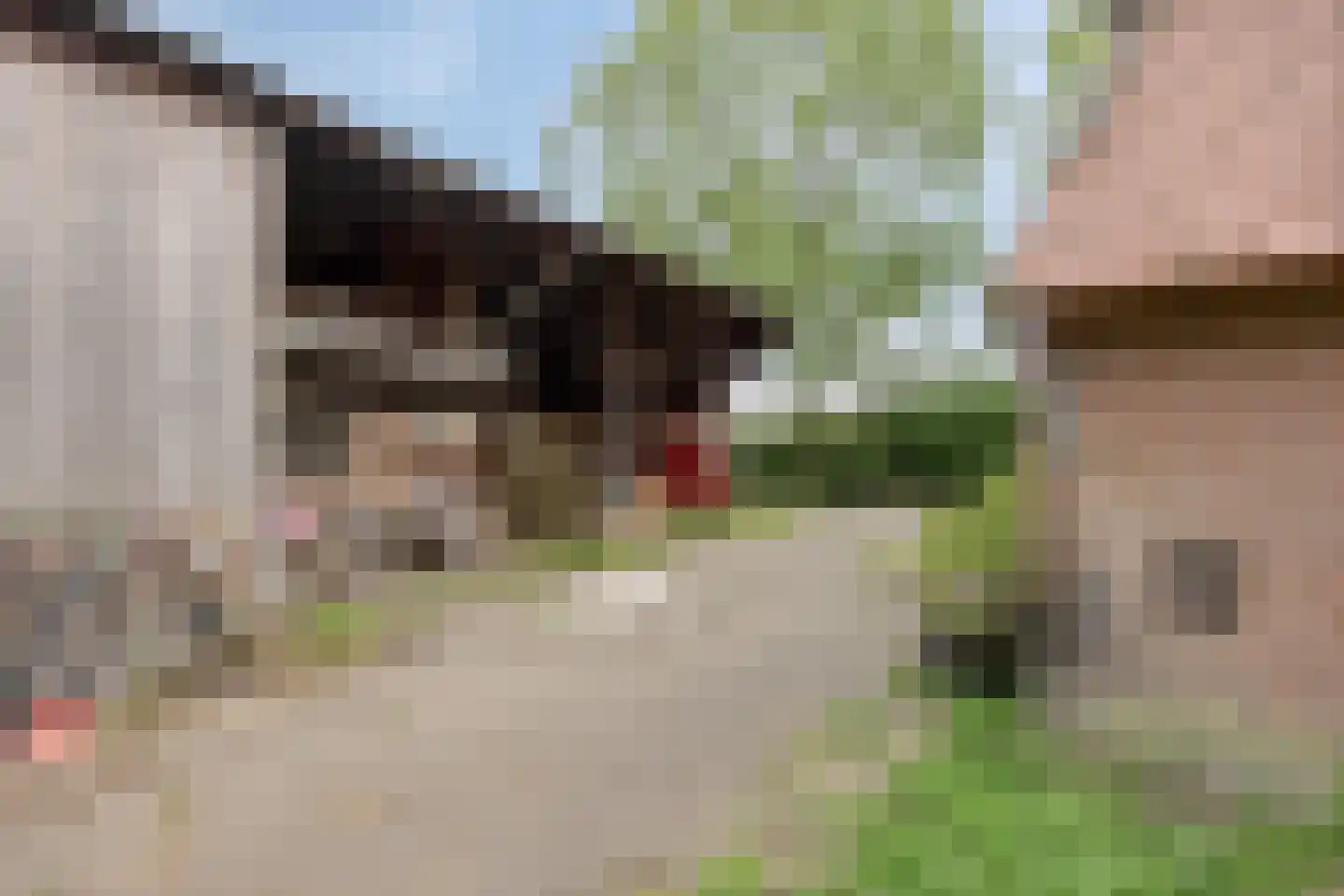 Waalbandijk 116 Dodewaard thumbnail 46