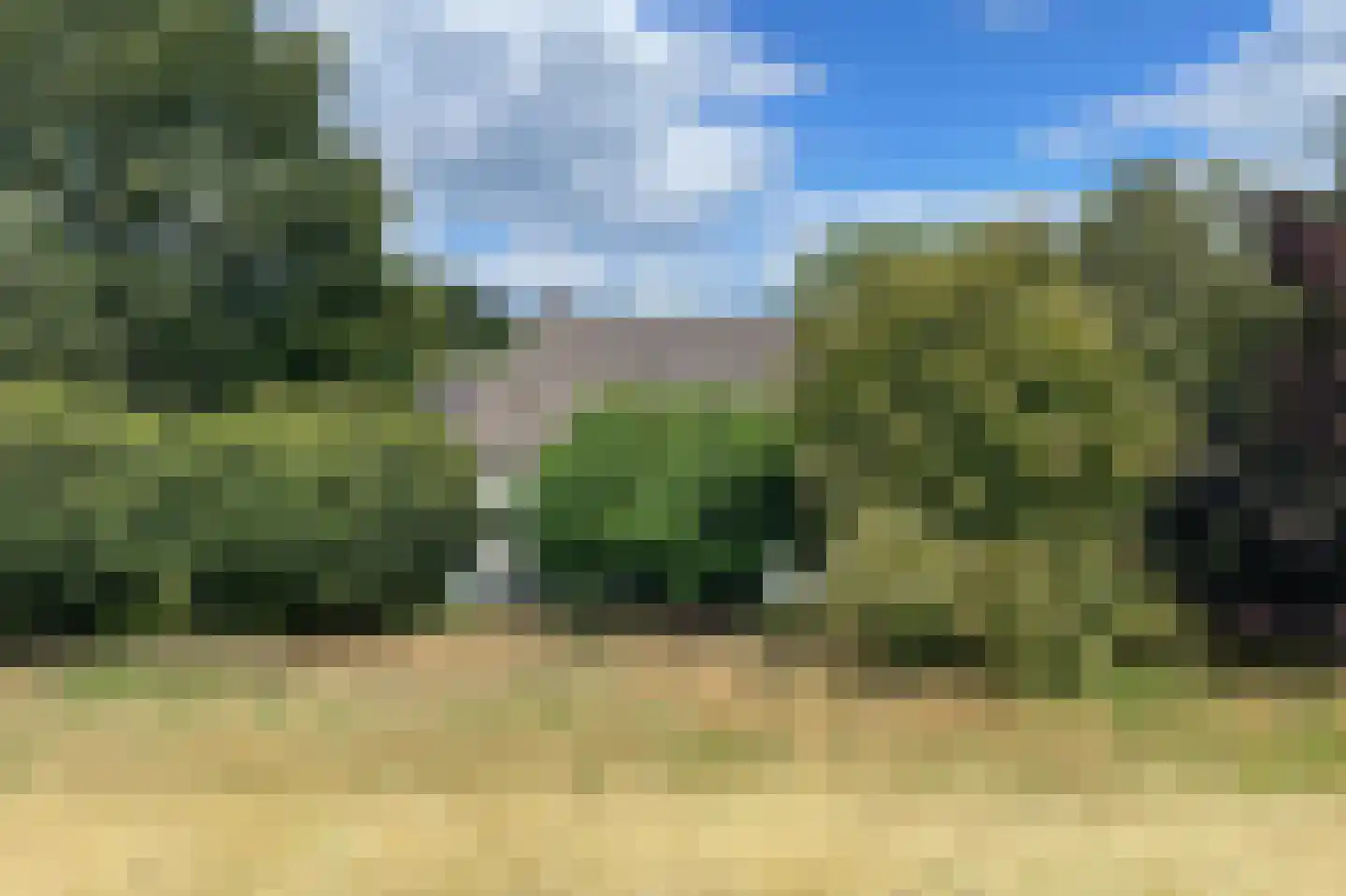 Waalbandijk 116 Dodewaard thumbnail 5