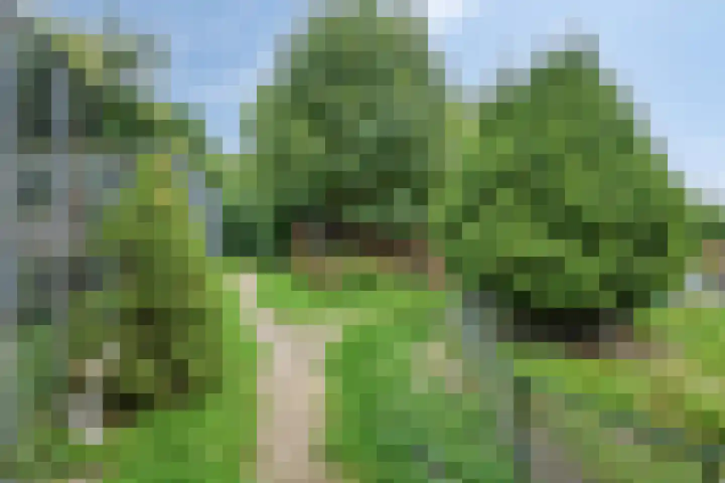 Waalbandijk 116 Dodewaard thumbnail 57