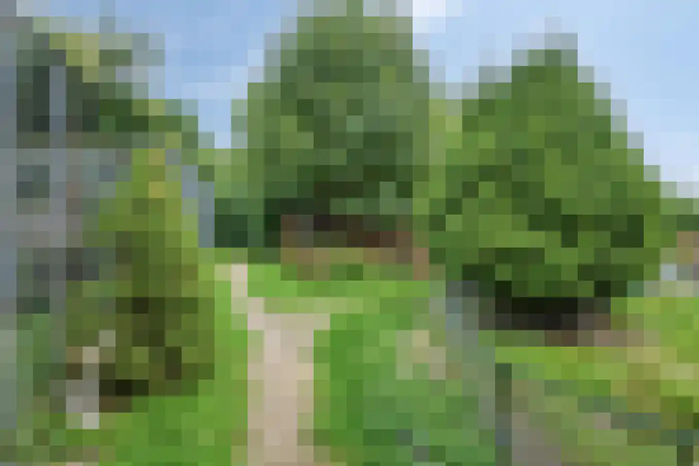 Waalbandijk 116 Dodewaard thumbnail 57