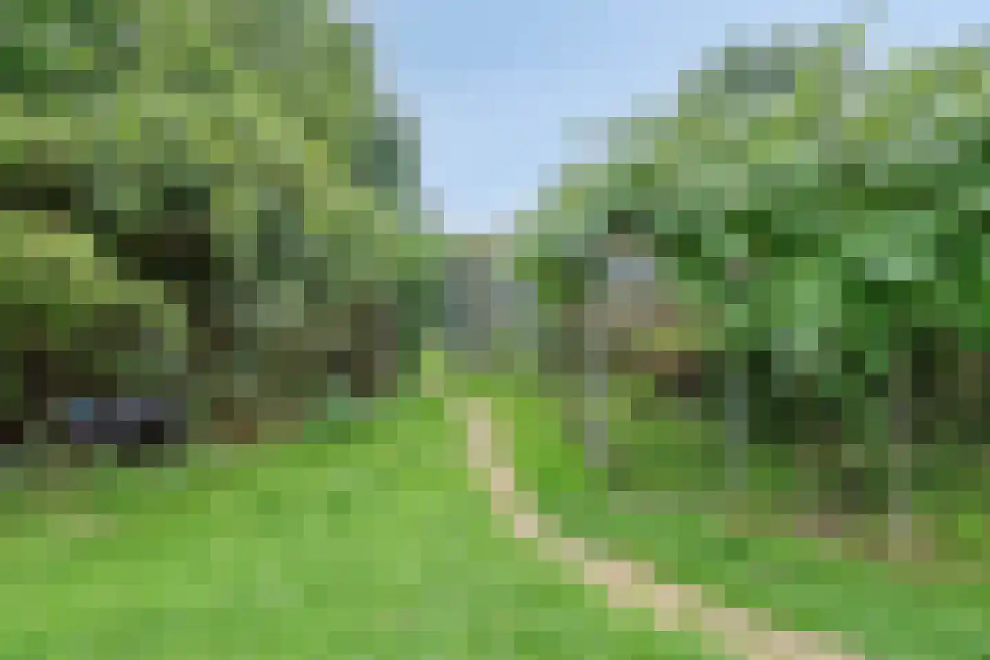 Waalbandijk 116 Dodewaard thumbnail 59