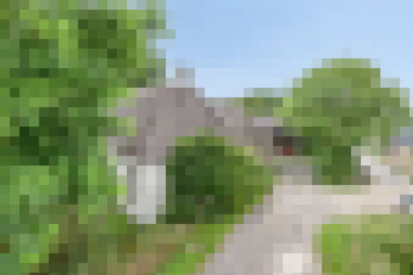 Waalbandijk 116 Dodewaard thumbnail 6