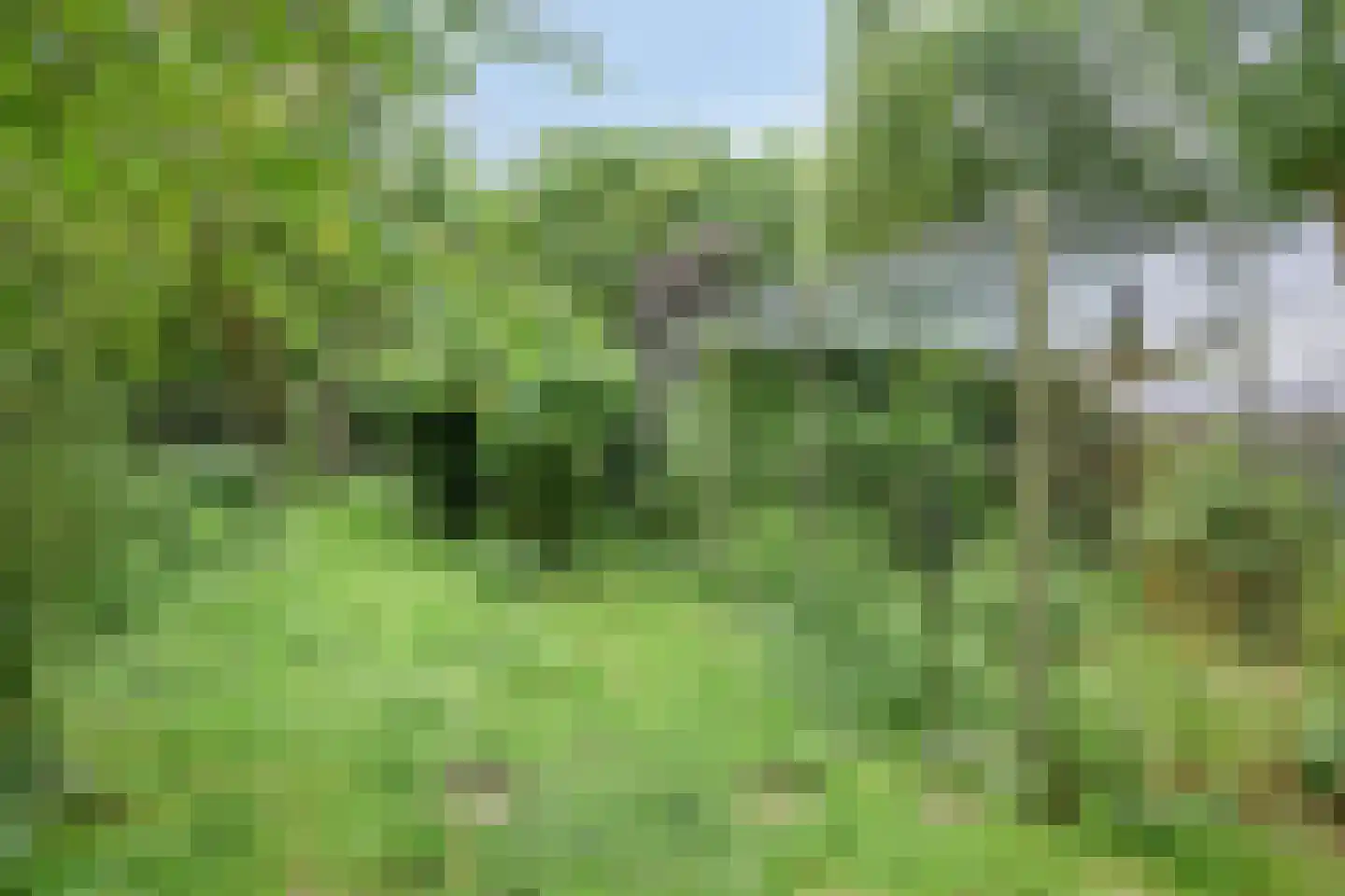 Waalbandijk 116 Dodewaard thumbnail 62