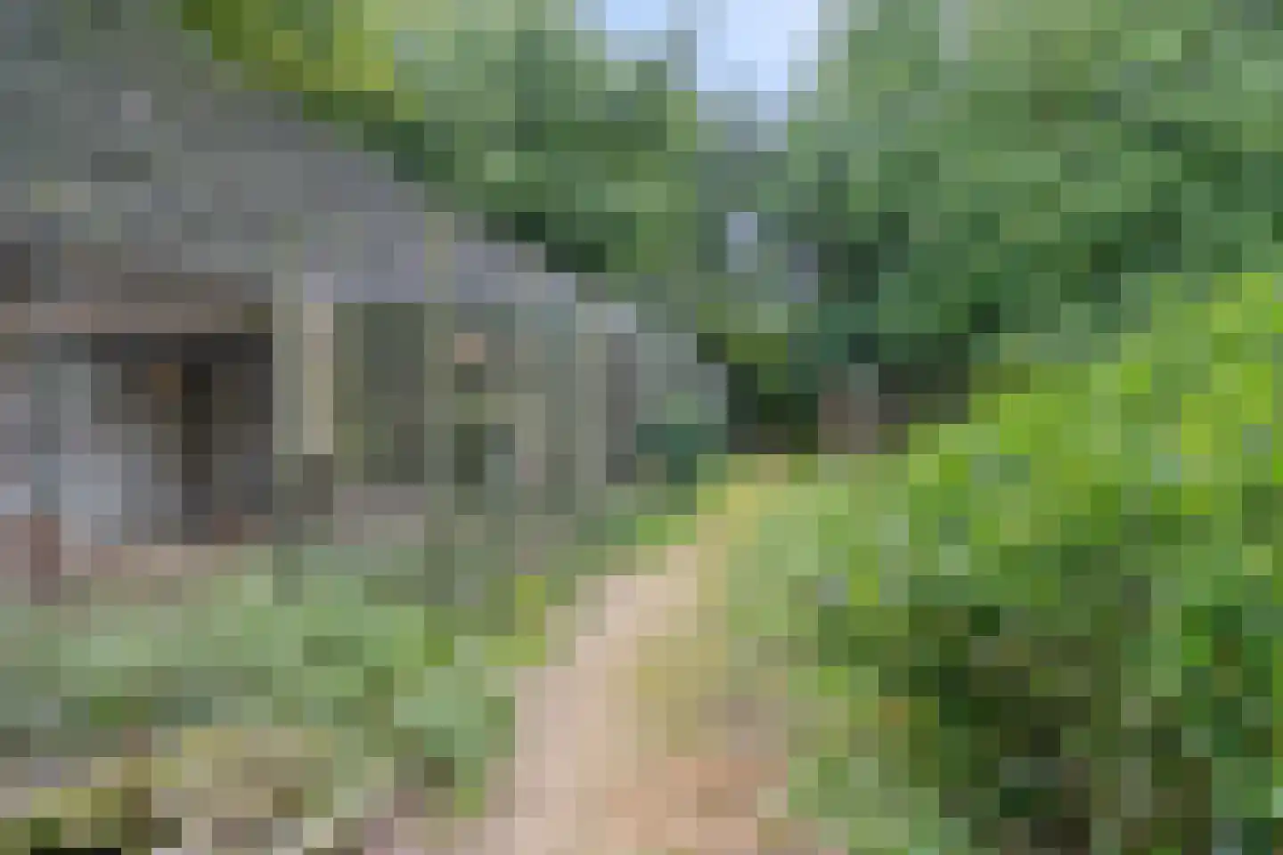 Waalbandijk 116 Dodewaard thumbnail 65