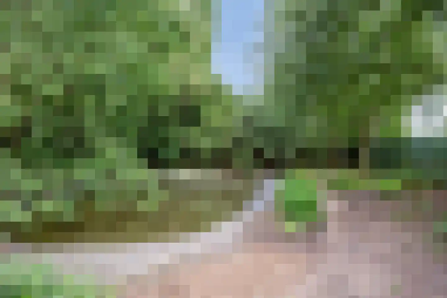 Waalbandijk 116 Dodewaard thumbnail 66